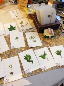 Herbarium