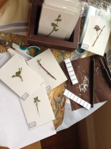 LabelingTheHerbarium