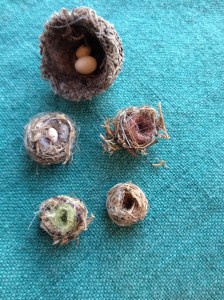 MiniatureNests