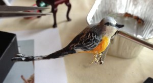 ScissortailFlycatcher!