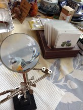 ScissortailFlycatcher3