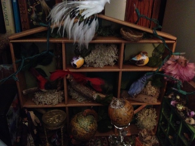 BigBirdsDisplay