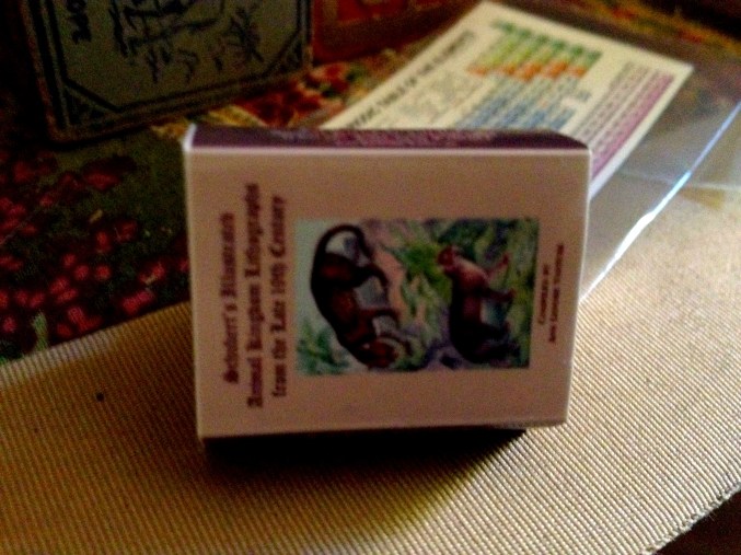 NaturalHistoryBookCover