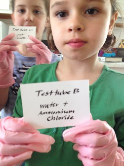 TesttubeB